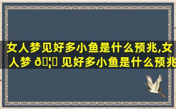 女人梦见好多小鱼是什么预兆,女人梦 🦈 见好多小鱼是什么预兆周公解梦